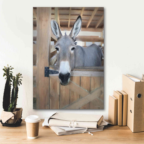 Image of 'Curious Donkey' by Lori Deiter, Canvas Wall Art,18 x 26