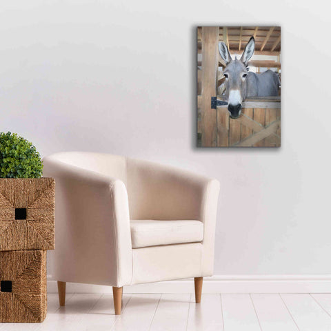 Image of 'Curious Donkey' by Lori Deiter, Canvas Wall Art,18 x 26