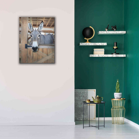 Image of 'Curious Donkey' by Lori Deiter, Canvas Wall Art,26 x 34