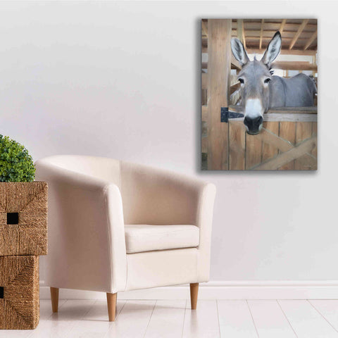 Image of 'Curious Donkey' by Lori Deiter, Canvas Wall Art,26 x 34