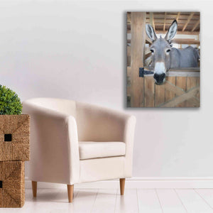 'Curious Donkey' by Lori Deiter, Canvas Wall Art,26 x 34
