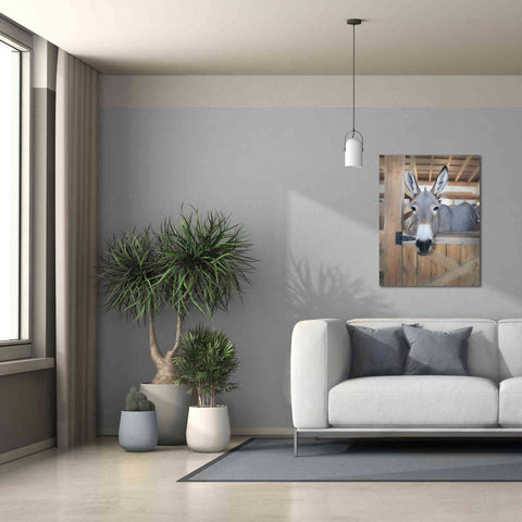 Image of 'Curious Donkey' by Lori Deiter, Canvas Wall Art,26 x 34