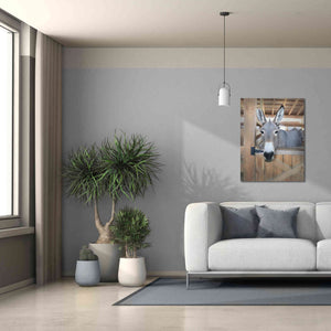 'Curious Donkey' by Lori Deiter, Canvas Wall Art,26 x 34