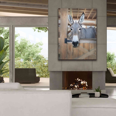 Image of 'Curious Donkey' by Lori Deiter, Canvas Wall Art,40 x 54