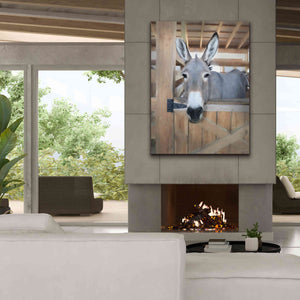 'Curious Donkey' by Lori Deiter, Canvas Wall Art,40 x 54