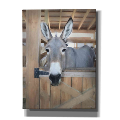 Image of 'Curious Donkey' by Lori Deiter, Canvas Wall Art