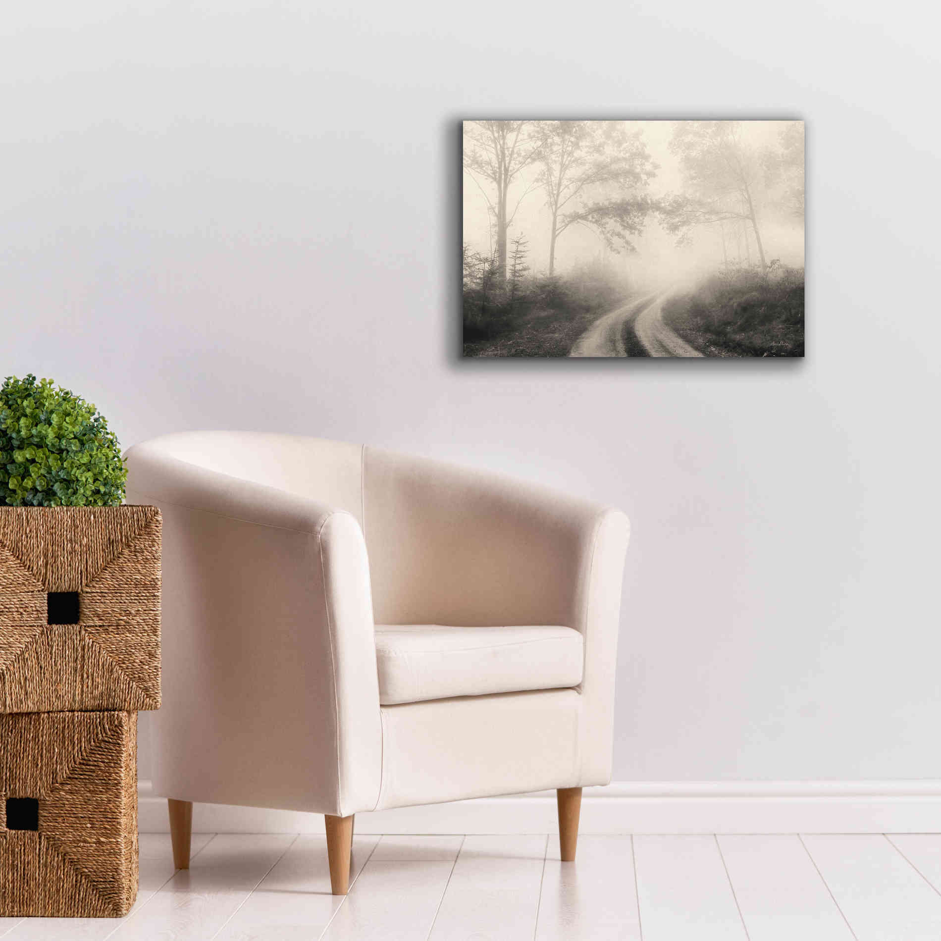 'Bleached Woodlands' by Lori Deiter, Canvas Wall Art,26 x 18