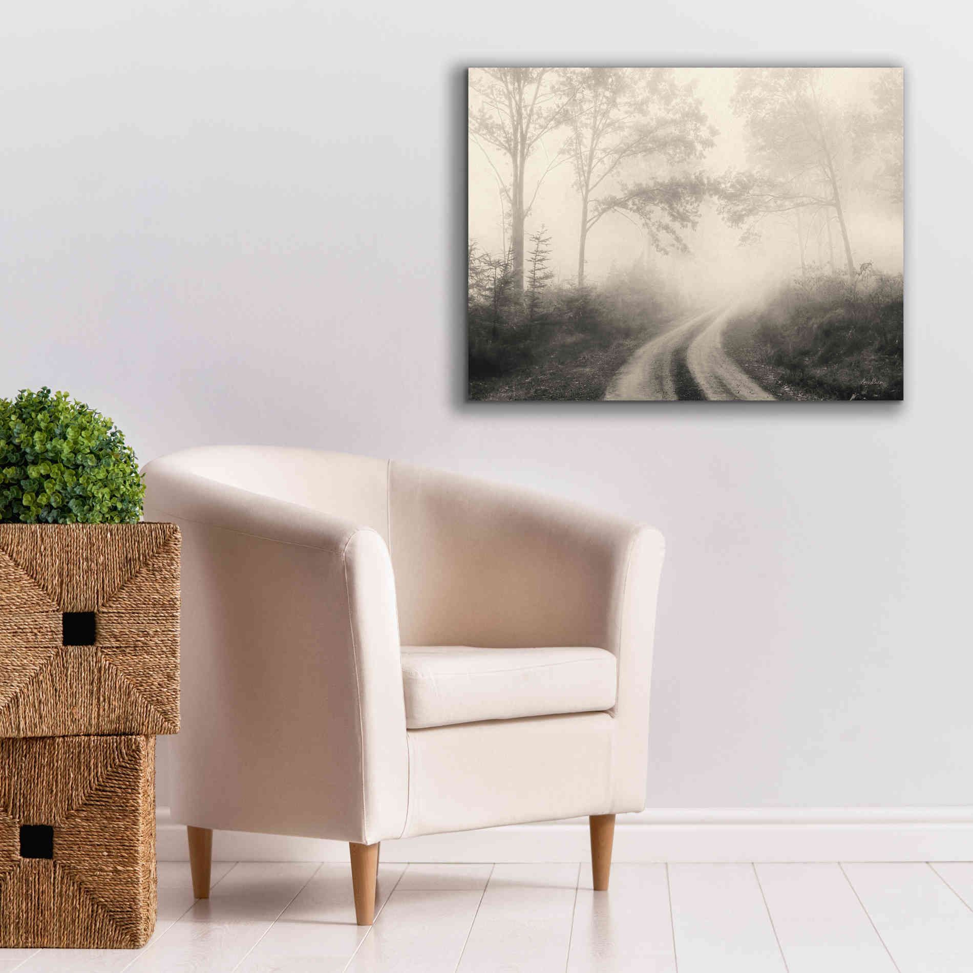 'Bleached Woodlands' by Lori Deiter, Canvas Wall Art,34 x 26