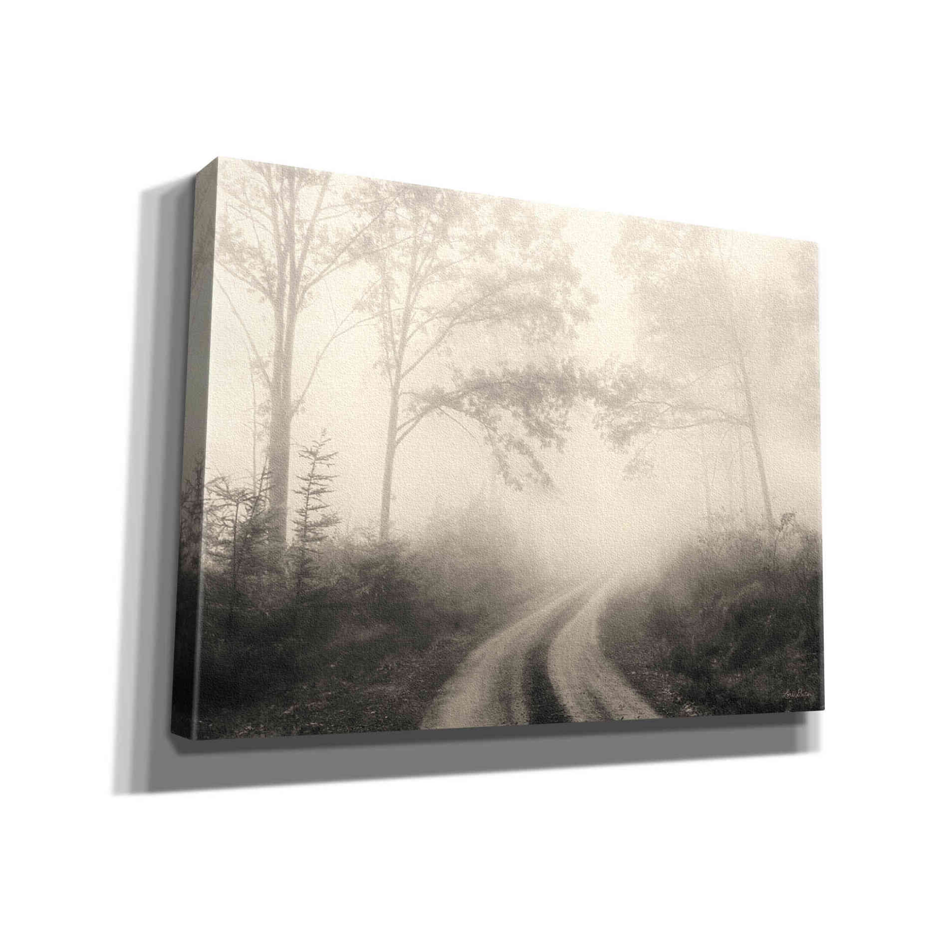 'Bleached Woodlands' by Lori Deiter, Canvas Wall Art