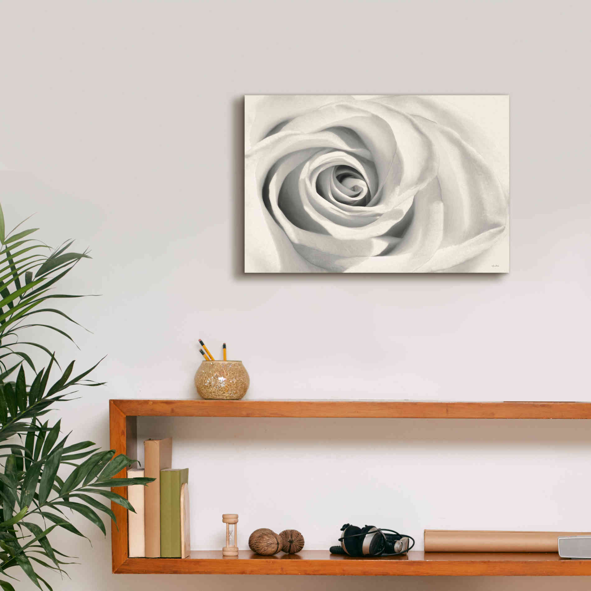 'Rose II' by Lori Deiter, Canvas Wall Art,18 x 12