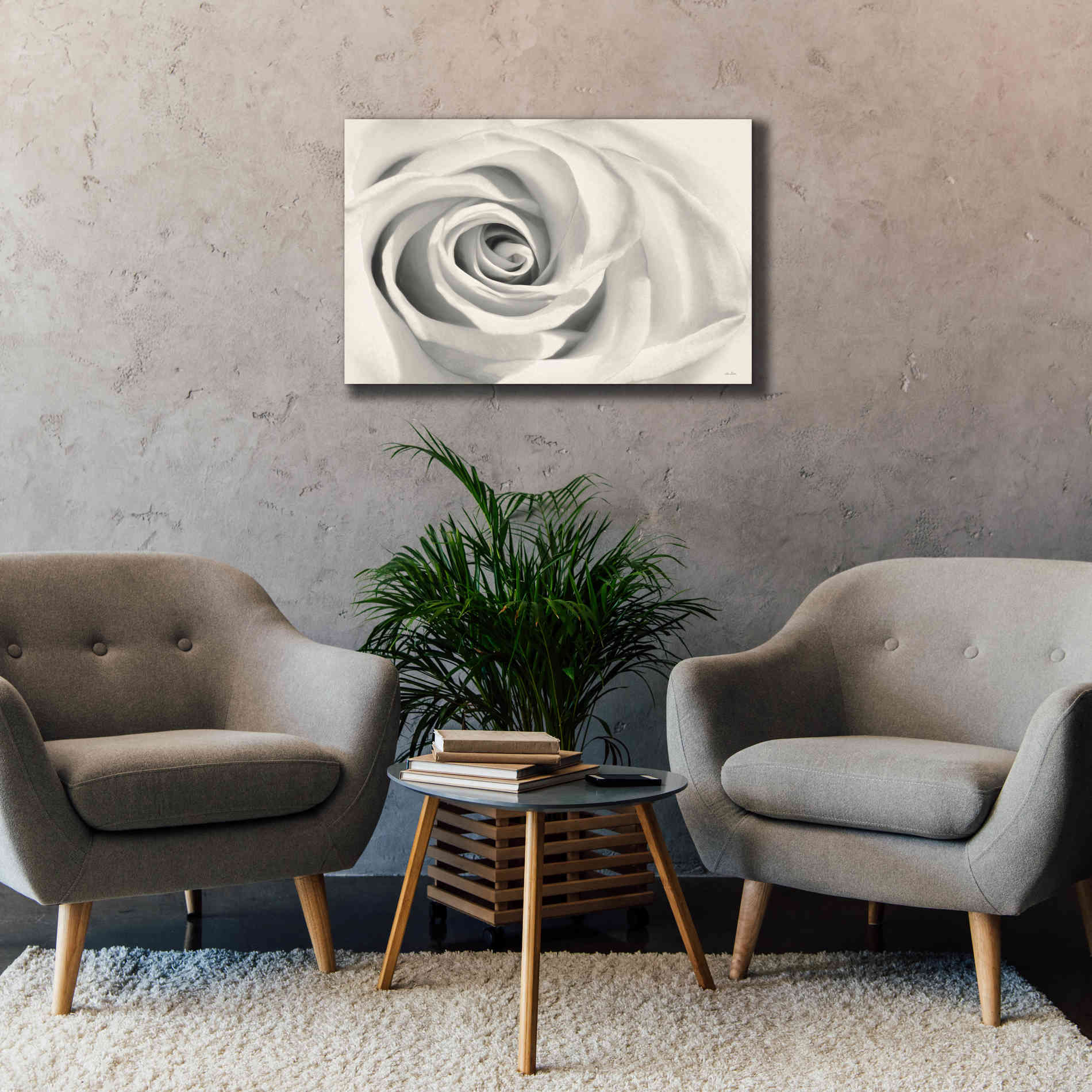 'Rose II' by Lori Deiter, Canvas Wall Art,40 x 26