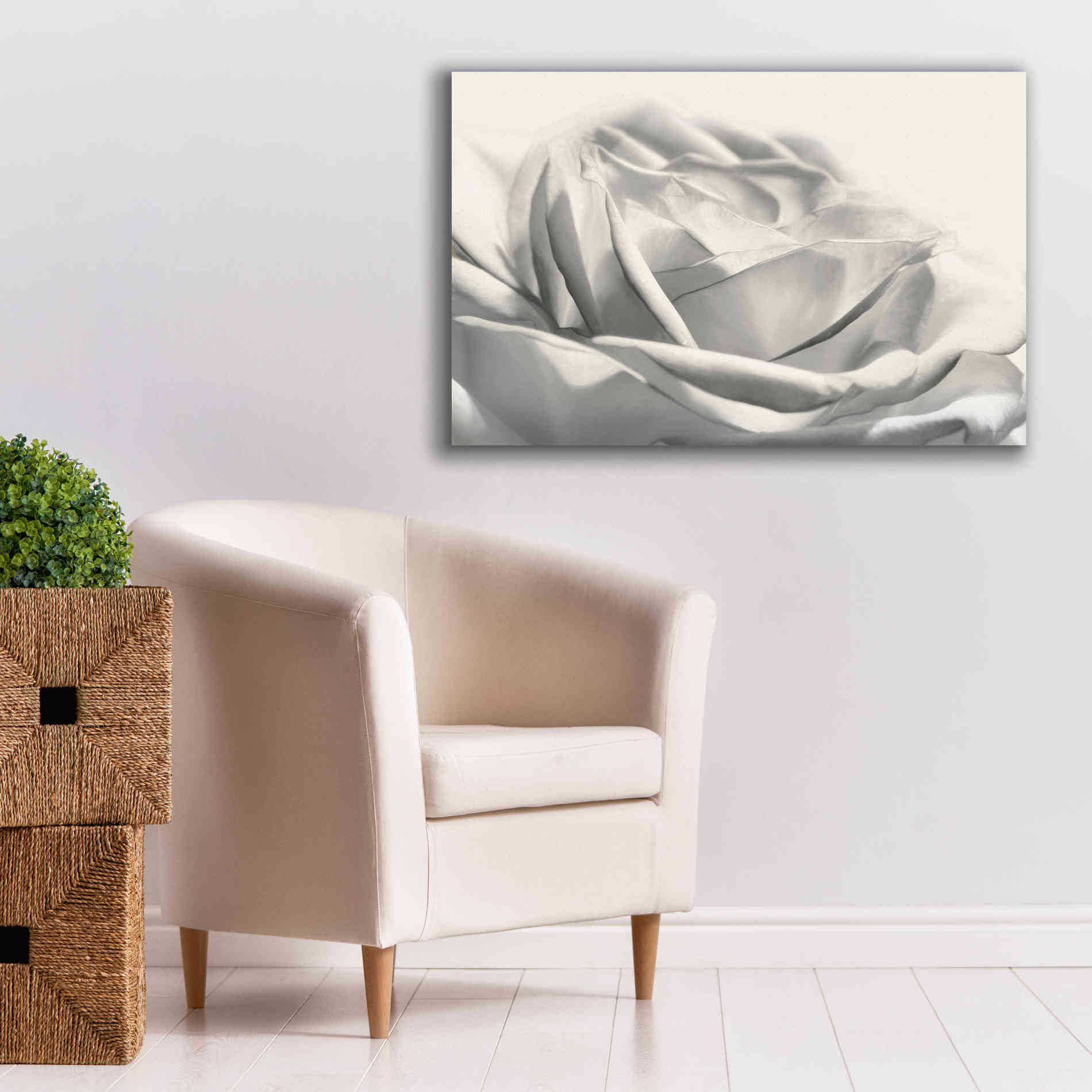 'Rose III' by Lori Deiter, Canvas Wall Art,40 x 26