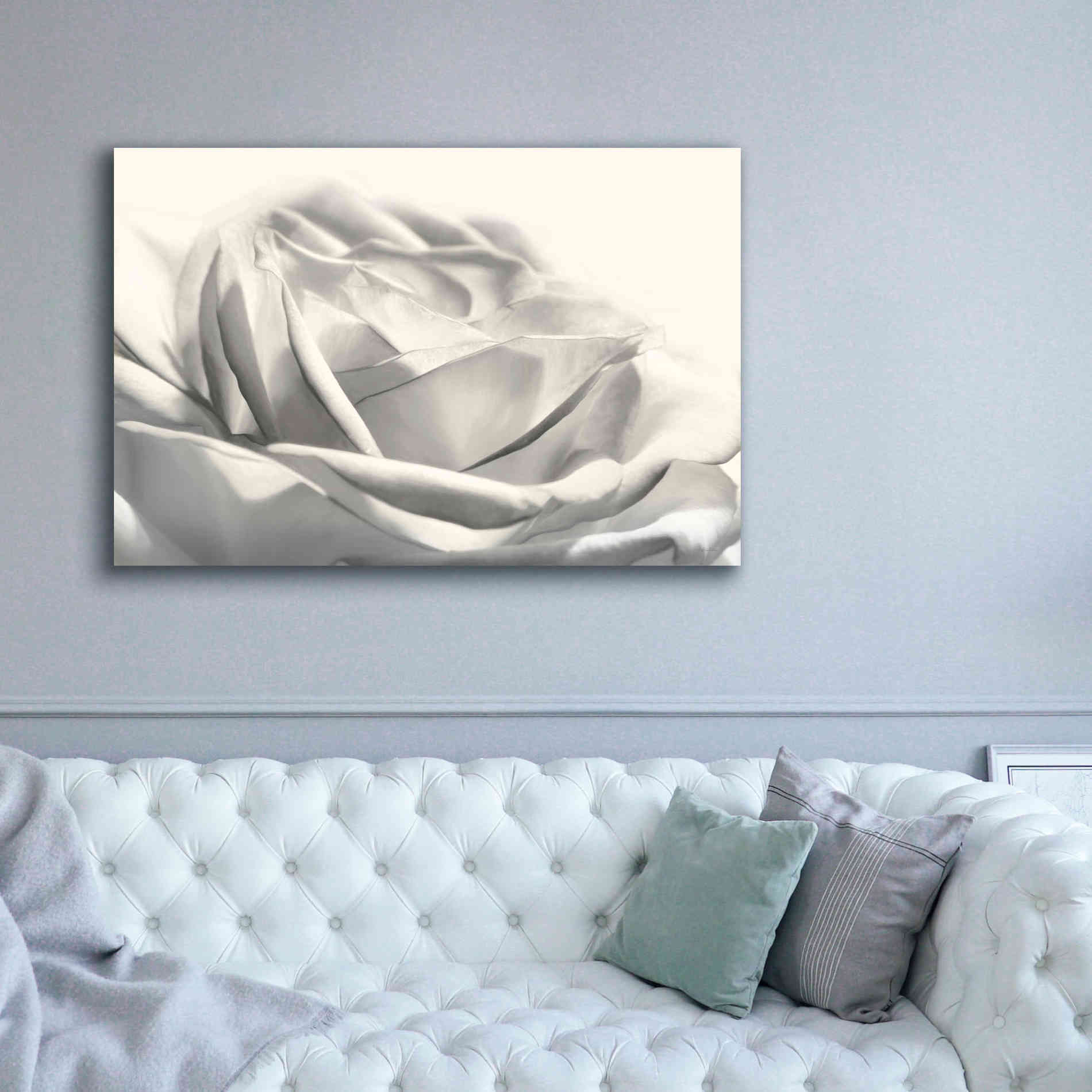 'Rose III' by Lori Deiter, Canvas Wall Art,60 x 40