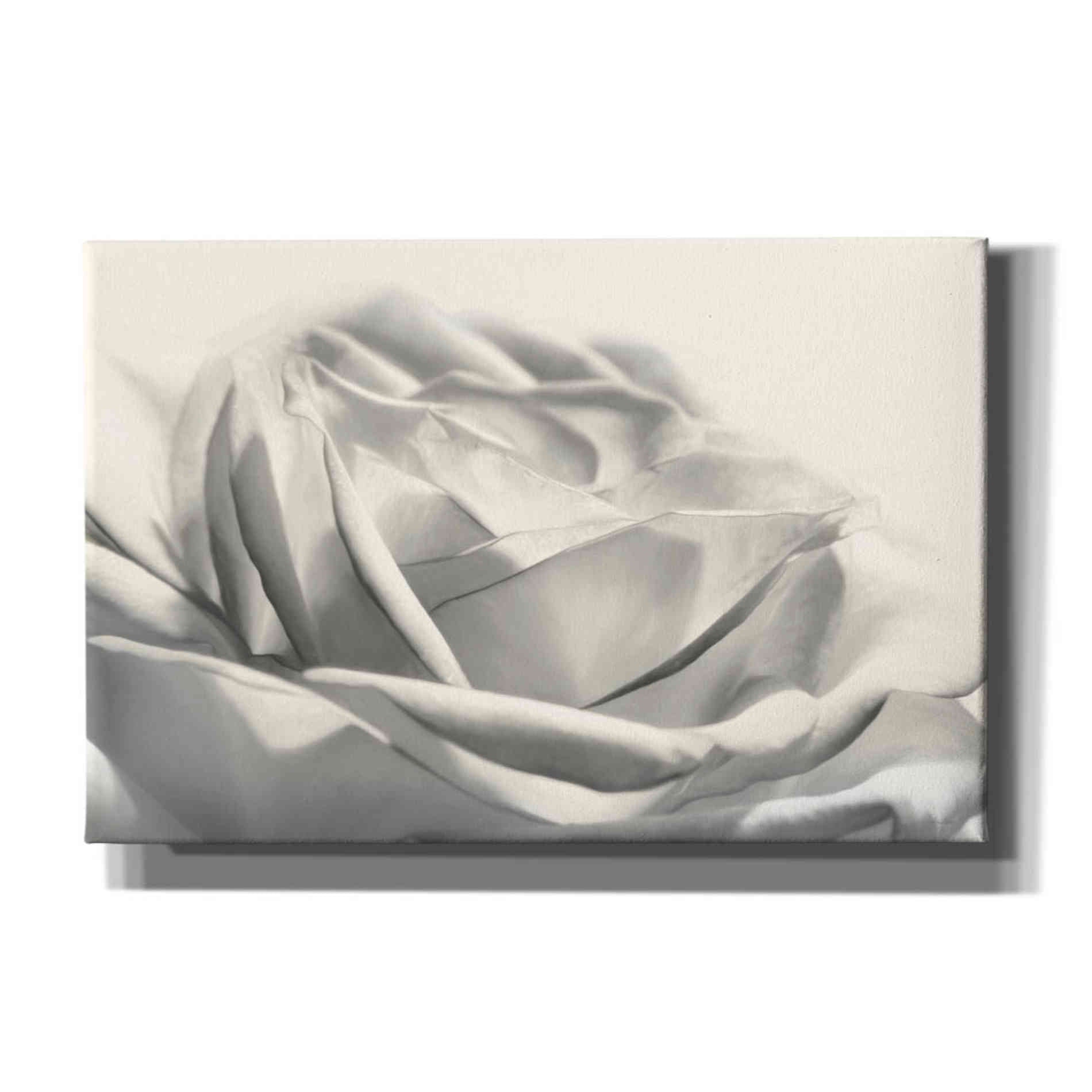 'Rose III' by Lori Deiter, Canvas Wall Art