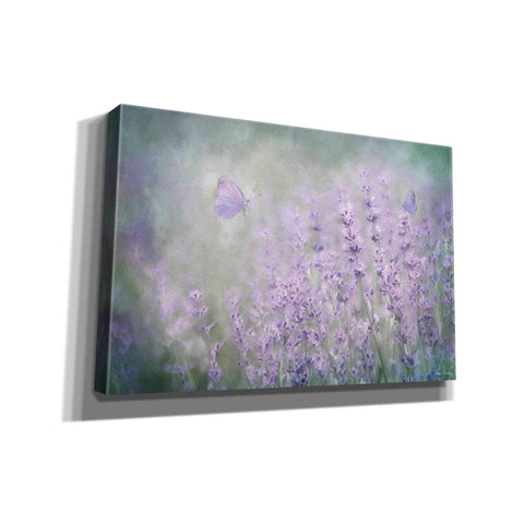 Image of 'Lovely Lavender' by Lori Deiter, Canvas Wall Art