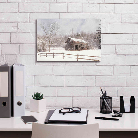 Image of 'Beautiful Solitude' by Lori Deiter, Canvas Wall Art,18 x 12