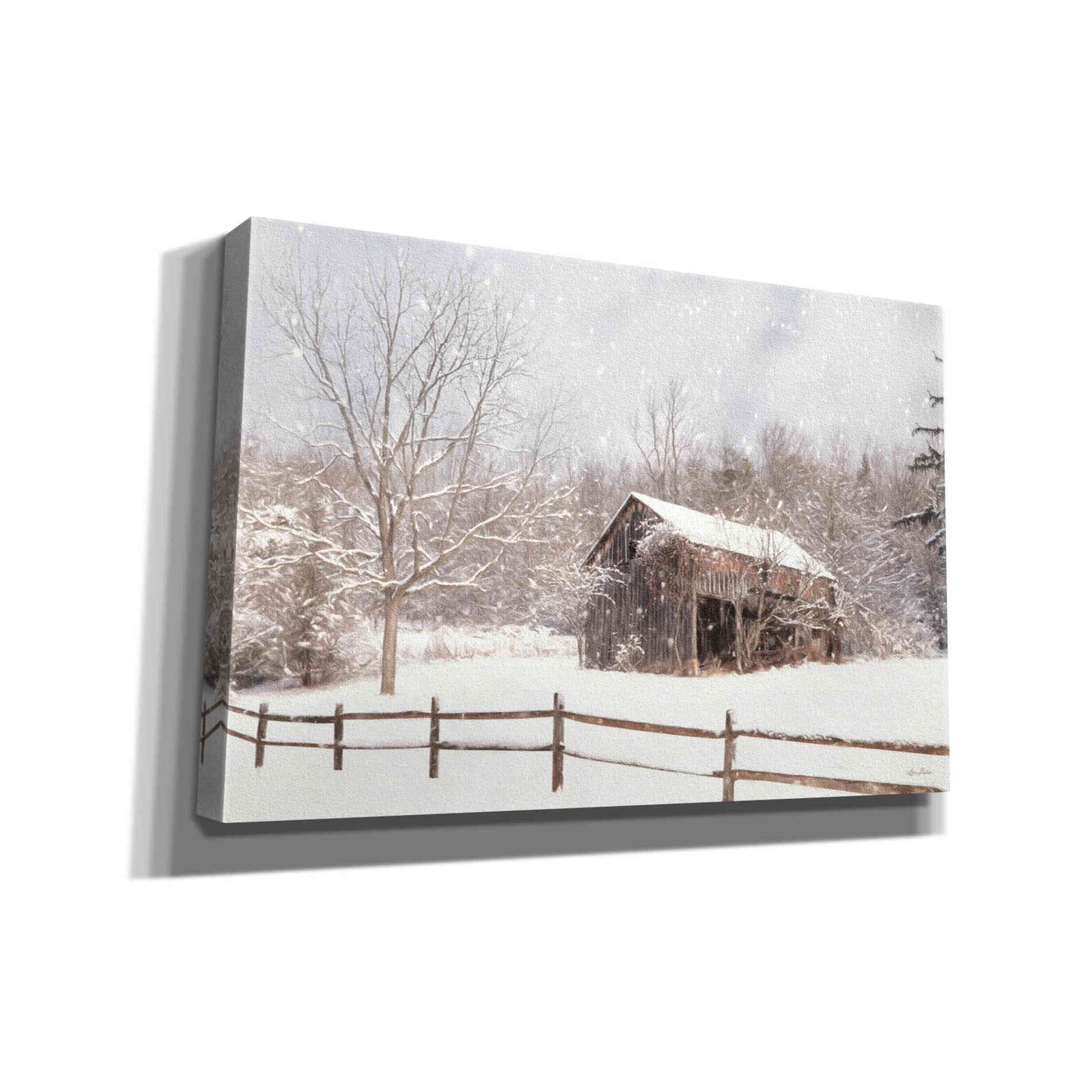 'Beautiful Solitude' by Lori Deiter, Canvas Wall Art