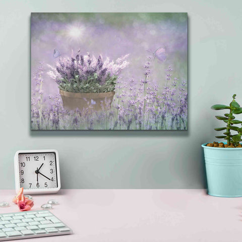 Image of 'Lavender Basket' by Lori Deiter, Canvas Wall Art,16 x 12