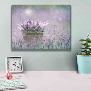 'Lavender Basket' by Lori Deiter, Canvas Wall Art,16 x 12