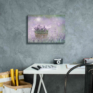 'Lavender Basket' by Lori Deiter, Canvas Wall Art,16 x 12