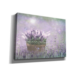 'Lavender Basket' by Lori Deiter, Canvas Wall Art