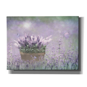 'Lavender Basket' by Lori Deiter, Canvas Wall Art