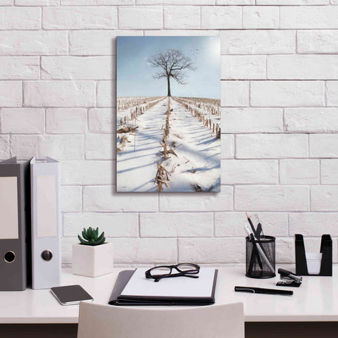 Image of 'Winter Boughs' by Lori Deiter, Canvas Wall Art,12 x 18