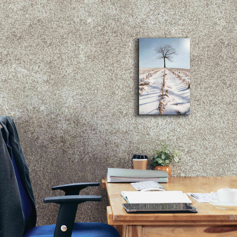 Image of 'Winter Boughs' by Lori Deiter, Canvas Wall Art,12 x 18