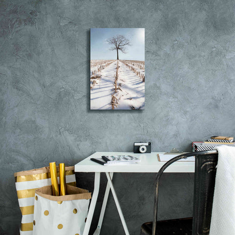 Image of 'Winter Boughs' by Lori Deiter, Canvas Wall Art,12 x 18