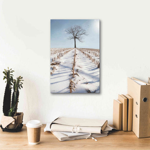 Image of 'Winter Boughs' by Lori Deiter, Canvas Wall Art,12 x 18