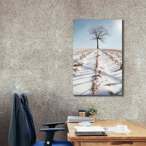 Image of 'Winter Boughs' by Lori Deiter, Canvas Wall Art,26 x 40