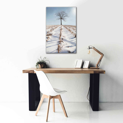 Image of 'Winter Boughs' by Lori Deiter, Canvas Wall Art,26 x 40