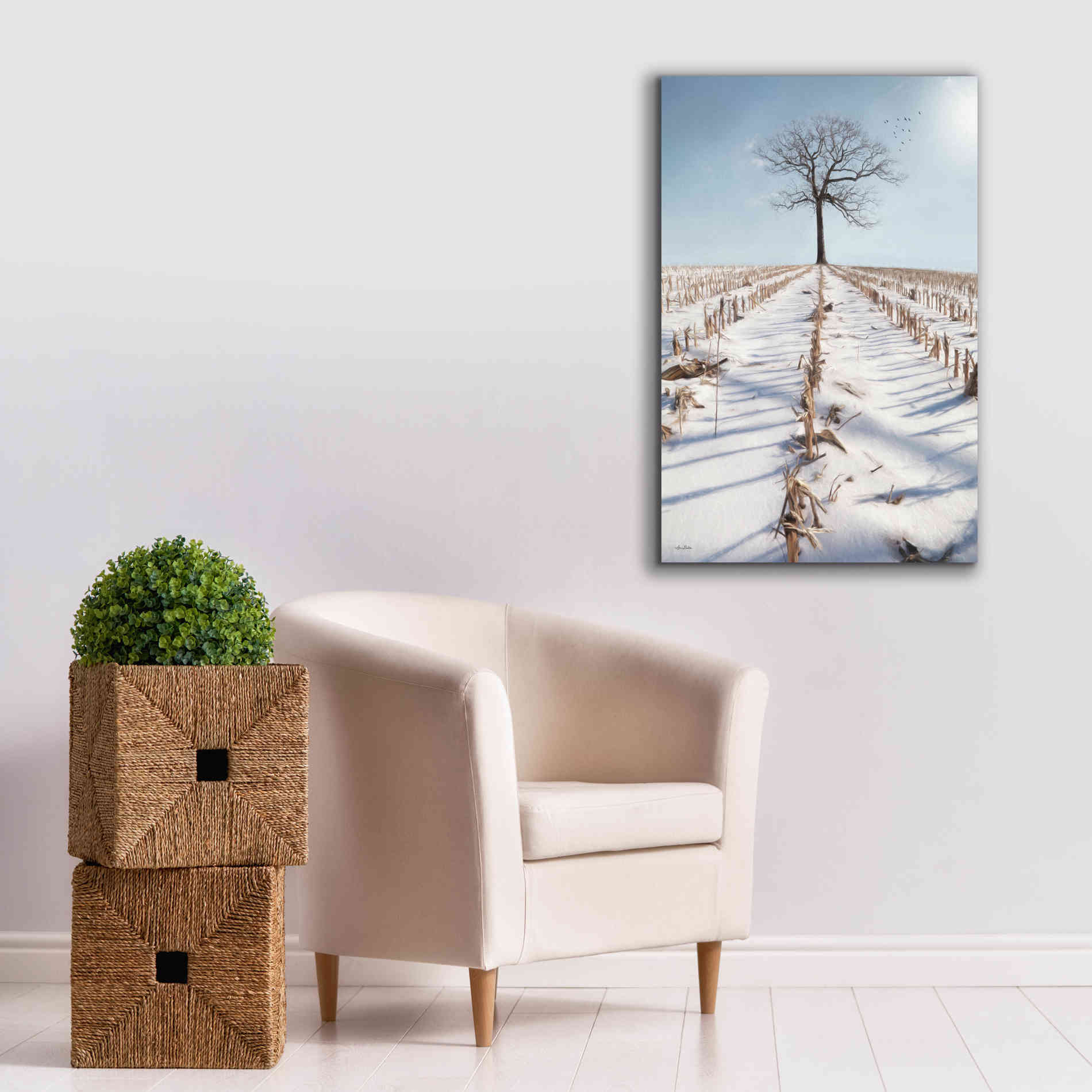 'Winter Boughs' by Lori Deiter, Canvas Wall Art,26 x 40