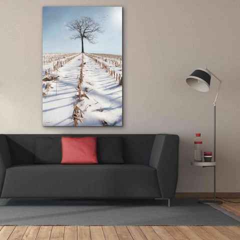 Image of 'Winter Boughs' by Lori Deiter, Canvas Wall Art,40 x 60