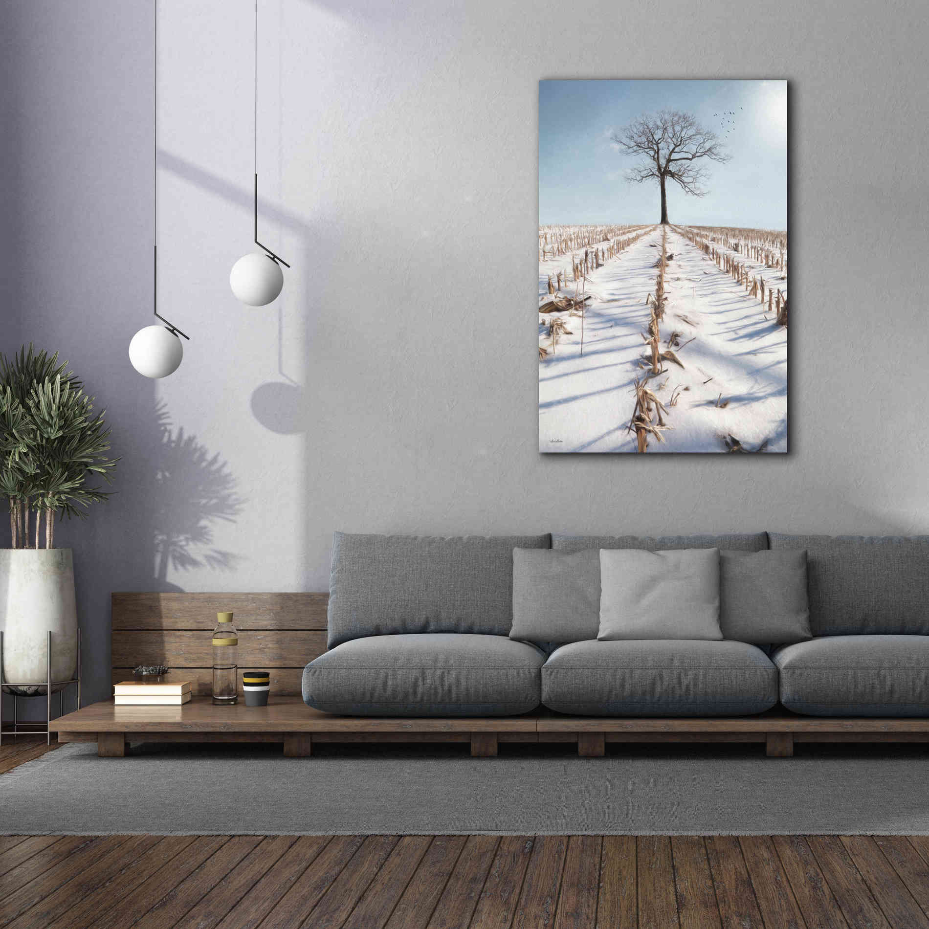 'Winter Boughs' by Lori Deiter, Canvas Wall Art,40 x 60