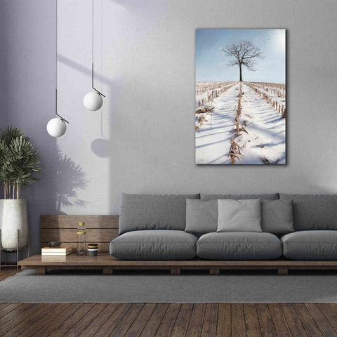 Image of 'Winter Boughs' by Lori Deiter, Canvas Wall Art,40 x 60