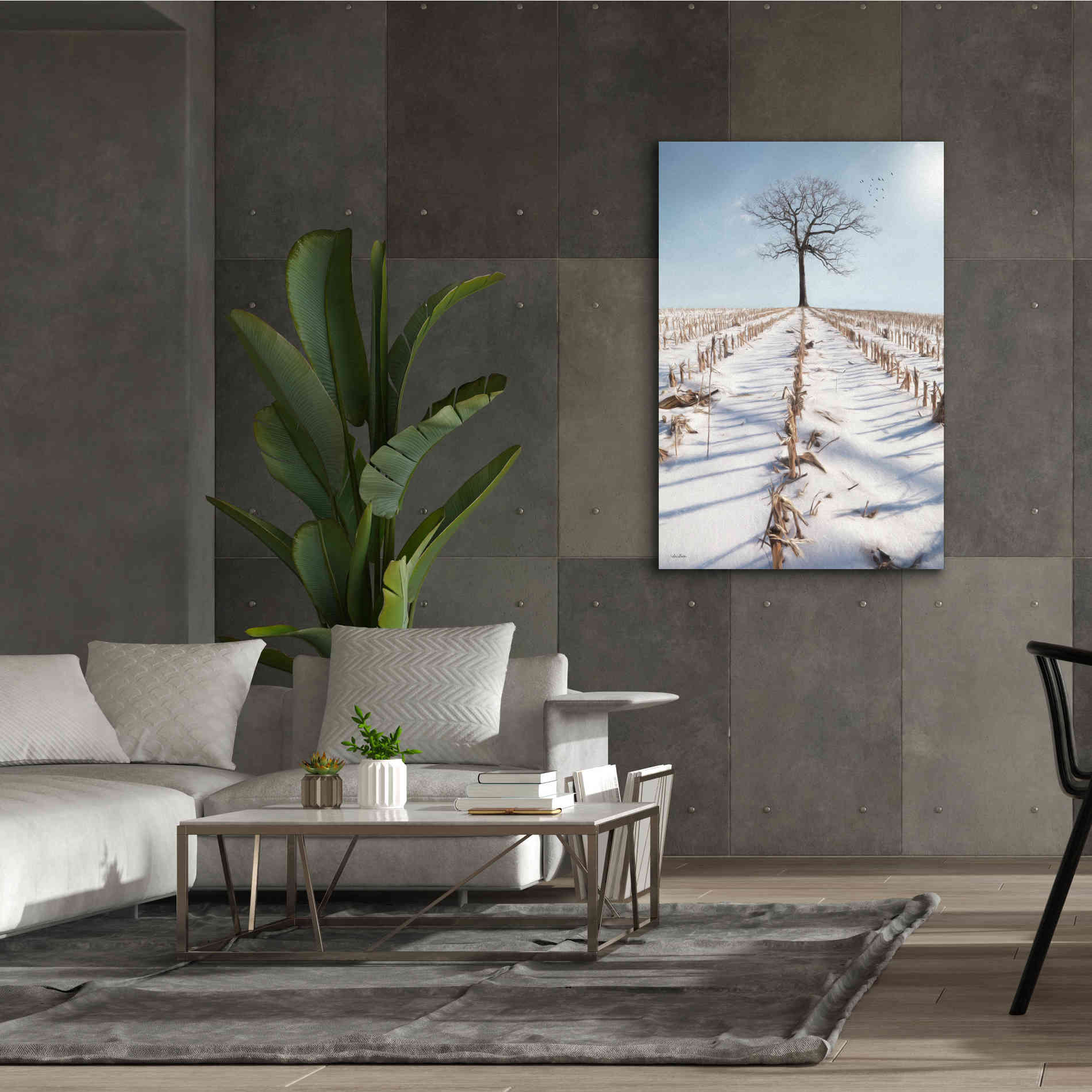 'Winter Boughs' by Lori Deiter, Canvas Wall Art,40 x 60