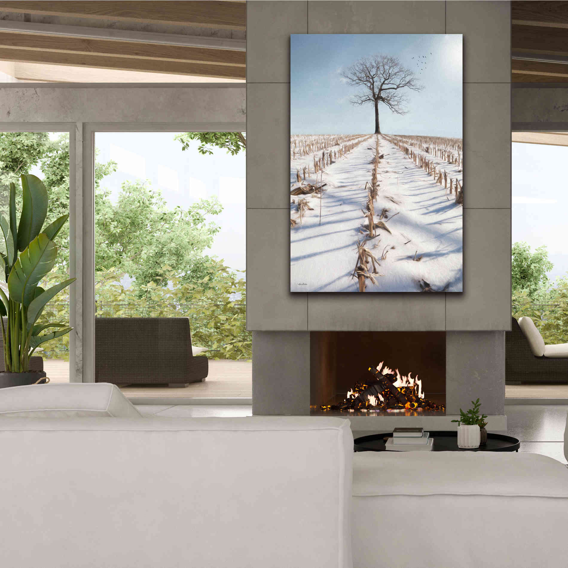 'Winter Boughs' by Lori Deiter, Canvas Wall Art,40 x 60