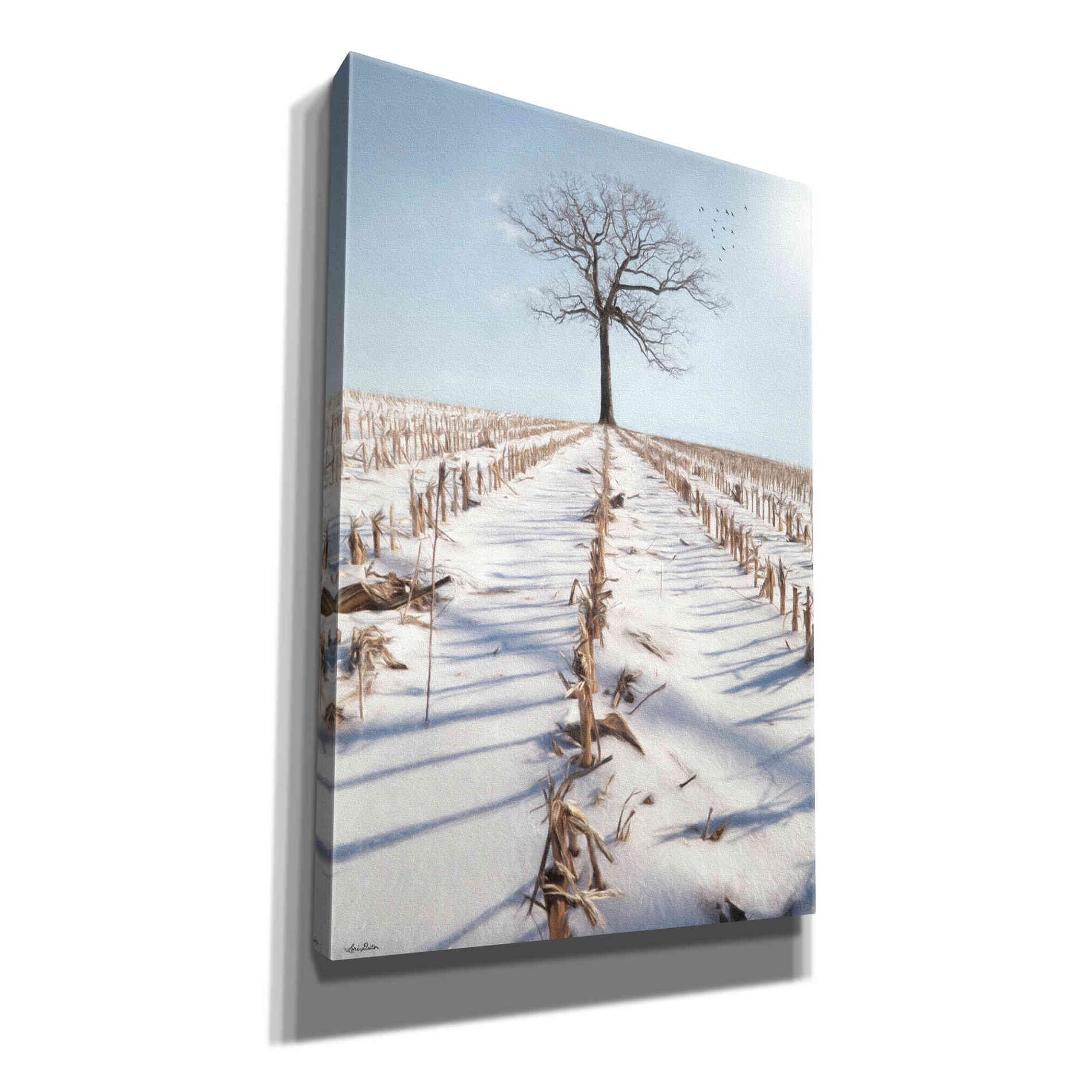 'Winter Boughs' by Lori Deiter, Canvas Wall Art