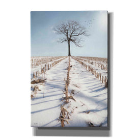 'Winter Boughs' by Lori Deiter, Canvas Wall Art