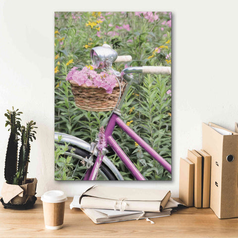 Image of 'Pink Garden Bike' by Lori Deiter, Canvas Wall Art,18 x 26
