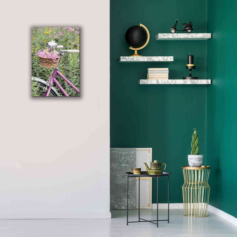 Image of 'Pink Garden Bike' by Lori Deiter, Canvas Wall Art,18 x 26