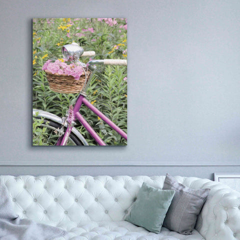 Image of 'Pink Garden Bike' by Lori Deiter, Canvas Wall Art,40 x 54