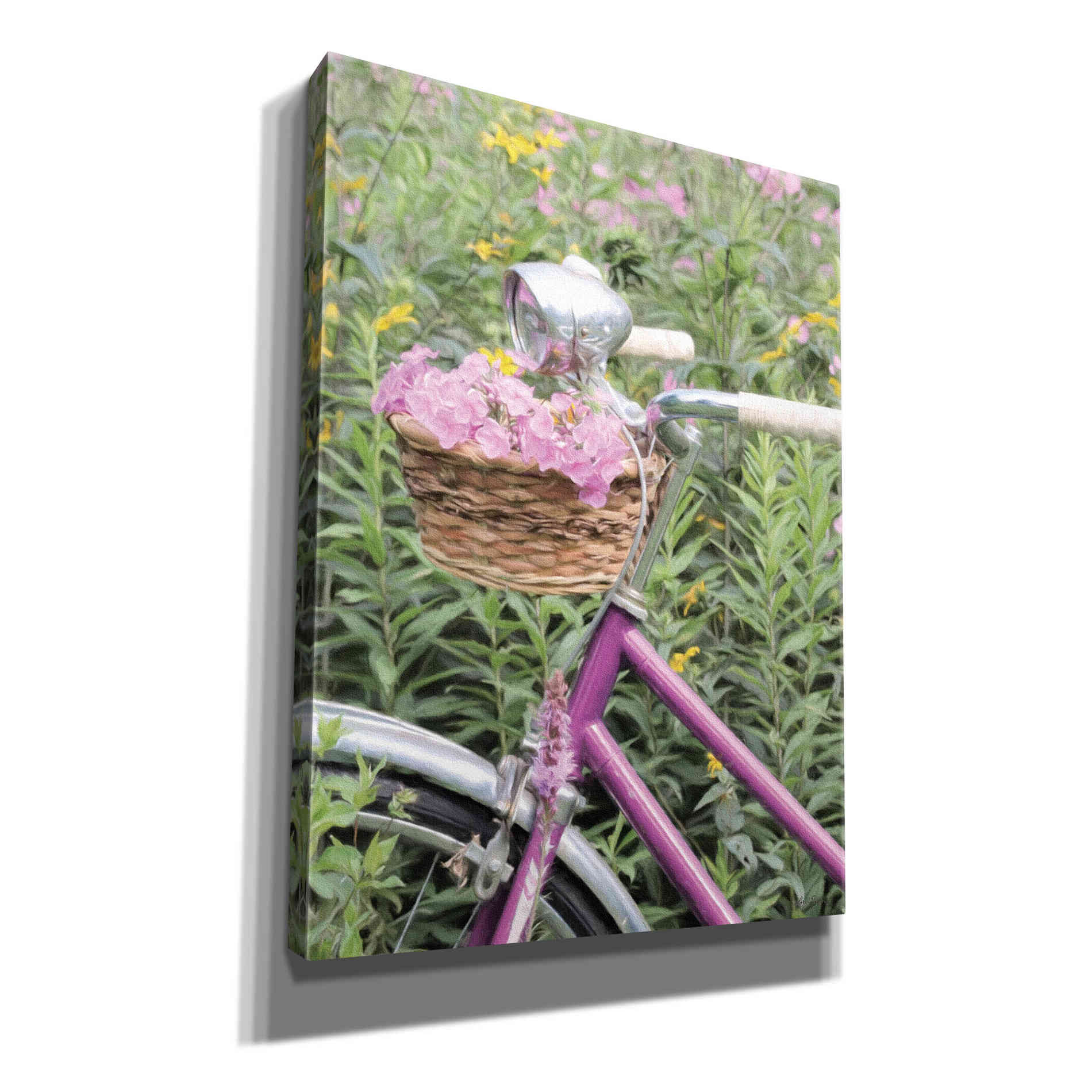 'Pink Garden Bike' by Lori Deiter, Canvas Wall Art