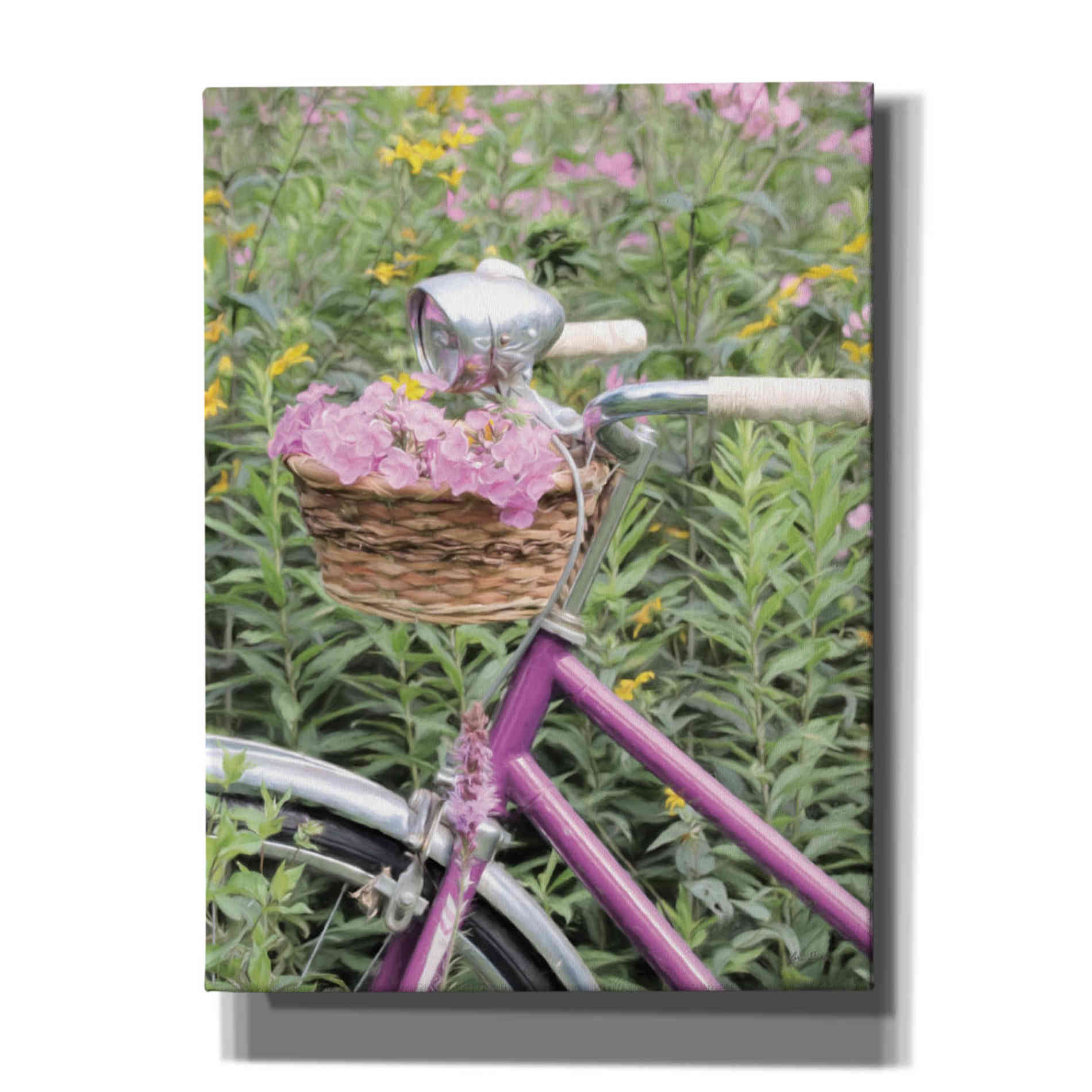 'Pink Garden Bike' by Lori Deiter, Canvas Wall Art