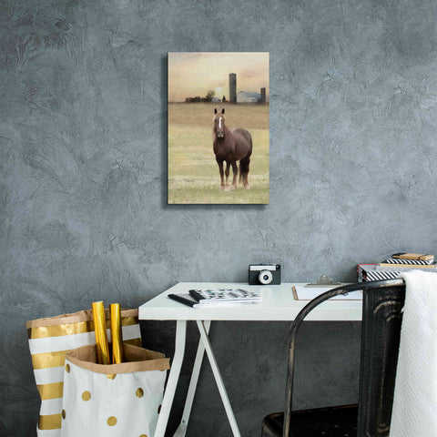 Image of 'Jackson Horse' by Lori Deiter, Canvas Wall Art,12 x 18