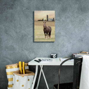 'Jackson Horse' by Lori Deiter, Canvas Wall Art,12 x 18