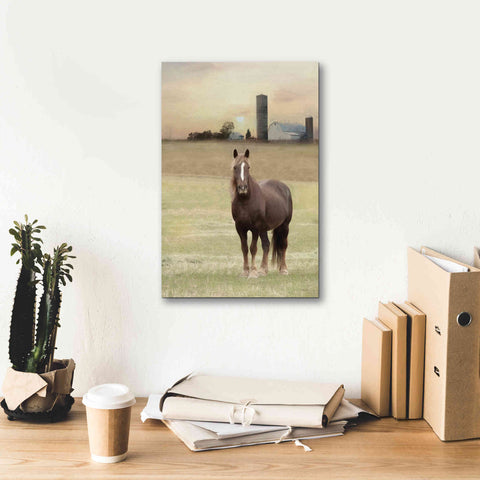 Image of 'Jackson Horse' by Lori Deiter, Canvas Wall Art,12 x 18