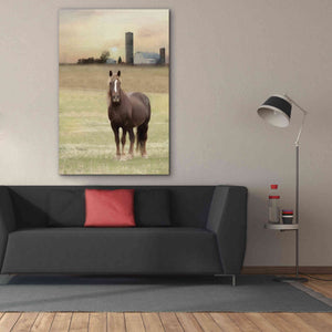 'Jackson Horse' by Lori Deiter, Canvas Wall Art,40 x 60