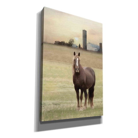 Image of 'Jackson Horse' by Lori Deiter, Canvas Wall Art